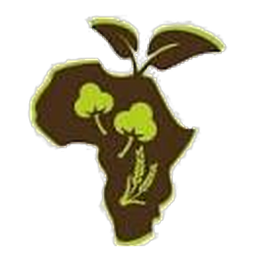 Olatee African Mart