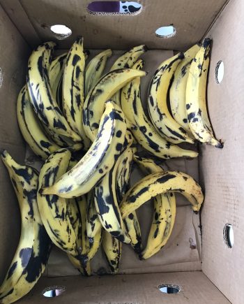 Plantain Uncooked
