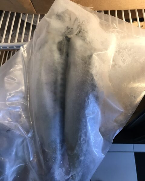 TITUS FISH (FROZEN)