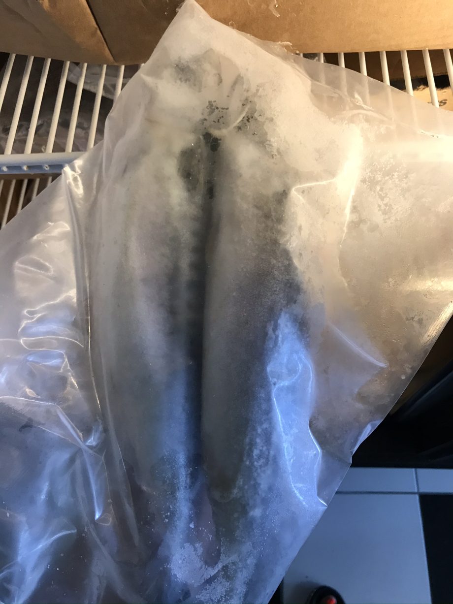 TITUS FISH (FROZEN)