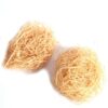 Native Sponge
