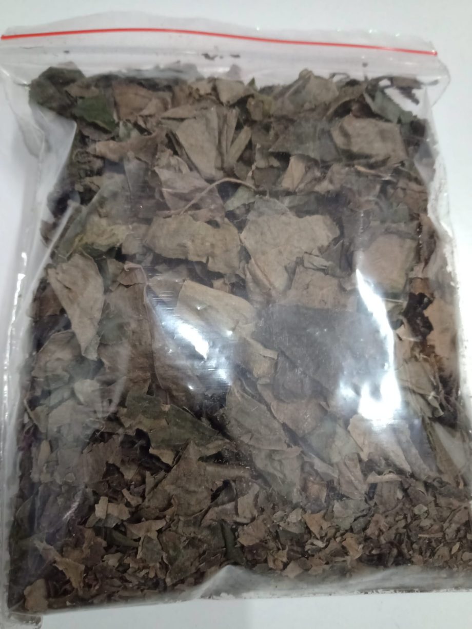 Olatee Scent Leaves (EFINRIN)
